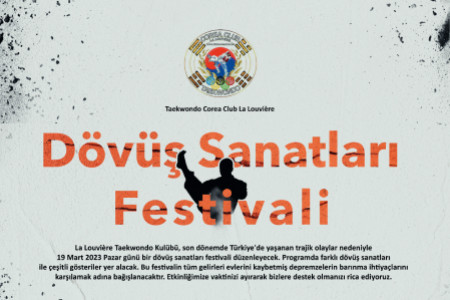 Dövüş Sanatları Festivali